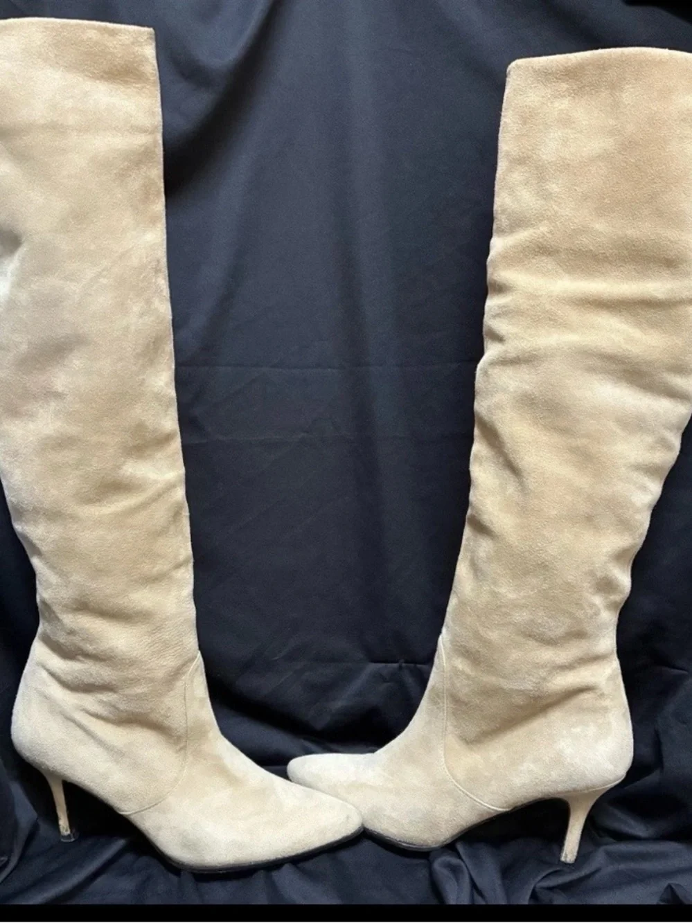 Stuart Weitzman Taupe Suede Over-the-Knee Pointed-Toe Boots
